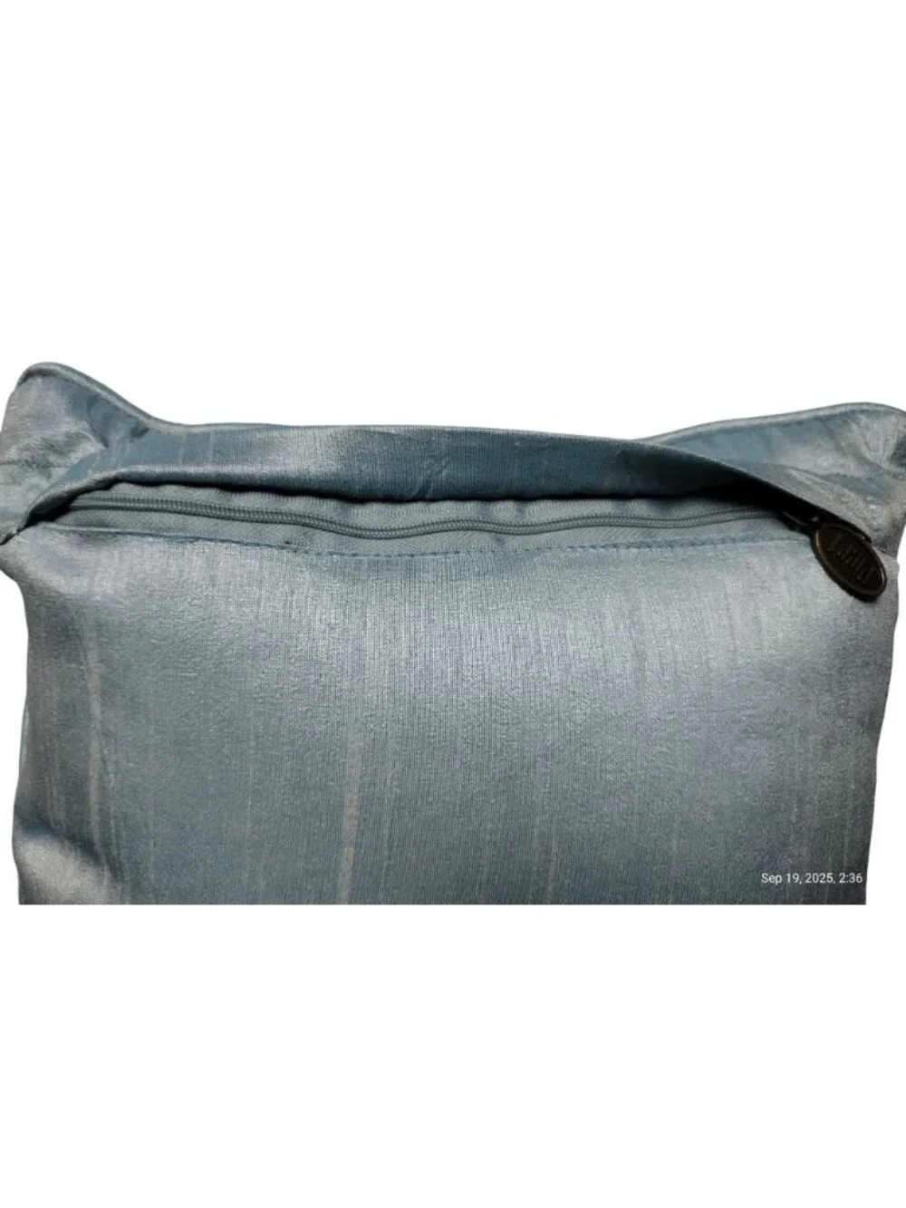Pear 1 Decorative Beaded Throw Pillow Ocean Beachy Sea Creatures